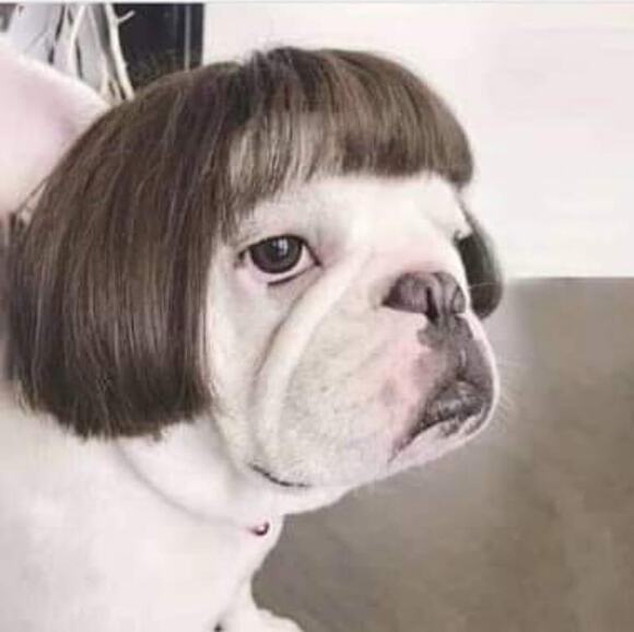 anniediazyambao